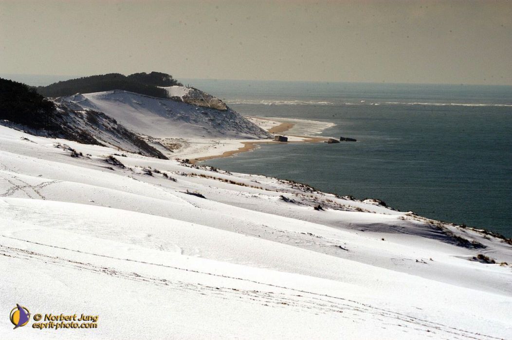 Nom de l'image : D1112162-nef-01_(c)Norbert-JUNG — Description :